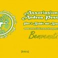 Associazione Andrea Pescia – Per i Bimbi del Brasile L’Associazione Andrea Pescia – Per i Bimbi del Brasile è un’associazione onlus fondata il 10 marzo 2006 con l’obiettivo di aiutare i bambini poveri di Fortaleza, togliendoli dalla loro triste realtà fatta di miseria, sofferenza,...